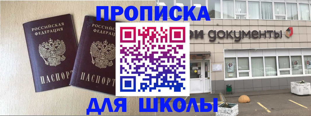 форма 3 в Камчатском крае